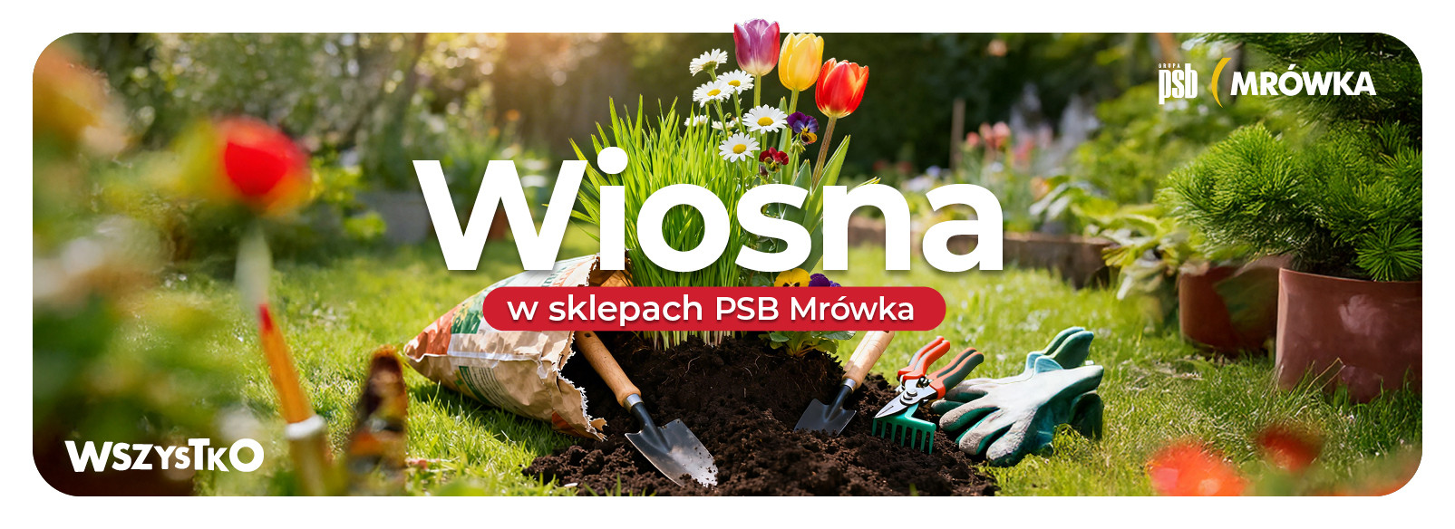 Grupa PSB mrowka Mrówka Sławno